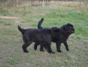 Превью фото № 147872