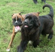 Превью фото № 147876