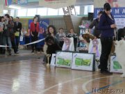 Превью фото № 147963