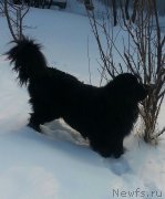 Превью фото № 147973