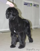 Превью фото № 147976