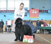 Превью фото № 148030