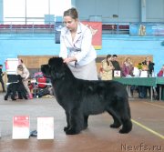 Превью фото № 148032