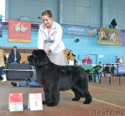 Превью фото № 148034