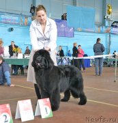 Превью фото № 148035
