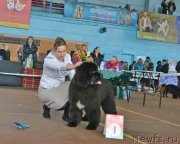 Превью фото № 148043