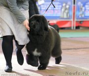 Превью фото № 148048