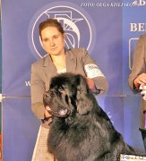 Превью фото № 148052