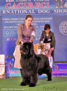 Превью фото № 148054