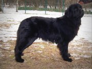 Превью фото № 148139