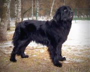 Превью фото № 148140