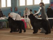 Превью фото № 148142