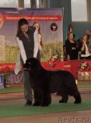 Превью фото № 148146