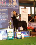 Превью фото № 148149