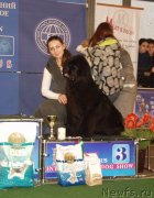 Превью фото № 148150