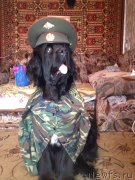 Превью фото № 148202