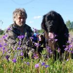 Превью фото № 14826