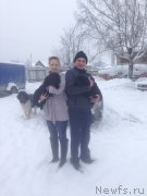 Превью фото № 148263