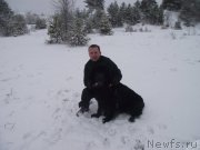 Превью фото № 148317