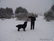 Превью фото № 148318