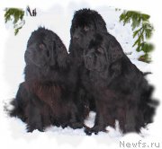 Превью фото № 148319