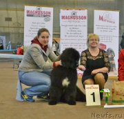 Превью фото № 148322