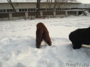 Превью фото № 148323