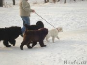 Превью фото № 148324