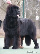 Превью фото № 148331