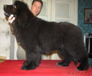 Превью фото № 148346