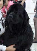 Превью фото № 148351