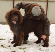 Превью фото № 148375