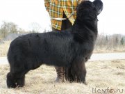 Превью фото № 148401