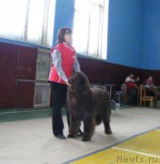 Превью фото № 148415