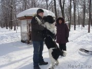 Превью фото № 148419