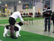 Превью фото № 148421