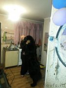 Превью фото № 148453