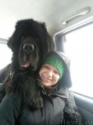 Превью фото № 148454