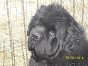 Превью фото № 148494