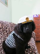 Превью фото № 148532