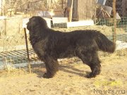 Превью фото № 148539