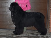 Превью фото № 148542