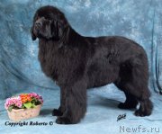 Превью фото № 148581