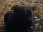 Превью фото № 148584