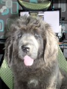 Превью фото № 148593