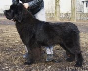 Превью фото № 148765