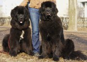 Превью фото № 148769