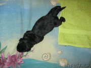 Превью фото № 148801