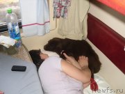 Превью фото № 148945