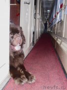 Превью фото № 148947